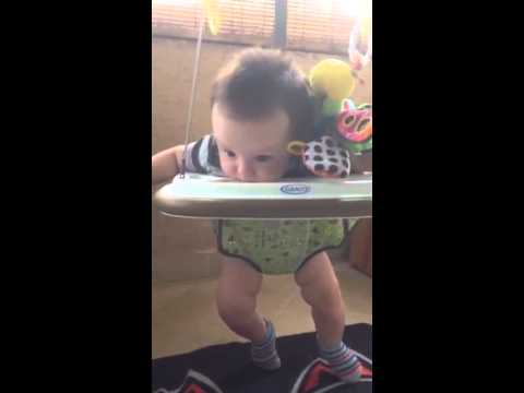 Bailando el ratón  japonés