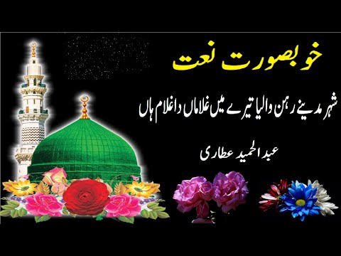 Shehar Medine Rehn Walia