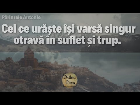 Father Anthony: How many times should we forgive someone who wrongs us?