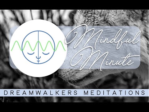 MINDFUL MINUTES - Running With Wolves