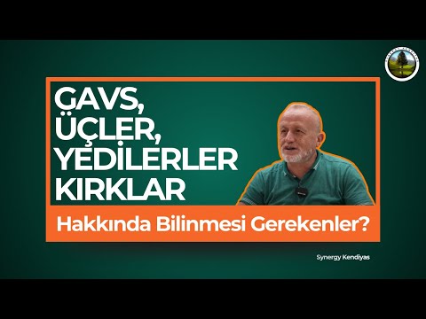 Gavs, 3' ler,  7' ler  40' lar hakkında bilinmesi gerekenler? | Synergy Kendiyas |