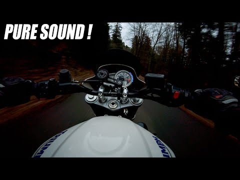 Pushing the STREET TRIPLE on a wet road || First "spring" ride || Leovince GP Sound