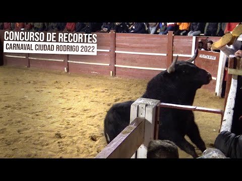 Ciudad Rodrigo 2022 Concurso de Recortes Goyesco