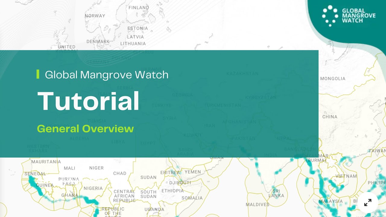General Overview of the Global Mangrove Watch