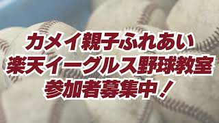 【応募を締め切りました】カメイ親子ふれあい楽天イーグルス野球教室【たくさんのご応募ありがとうございました】