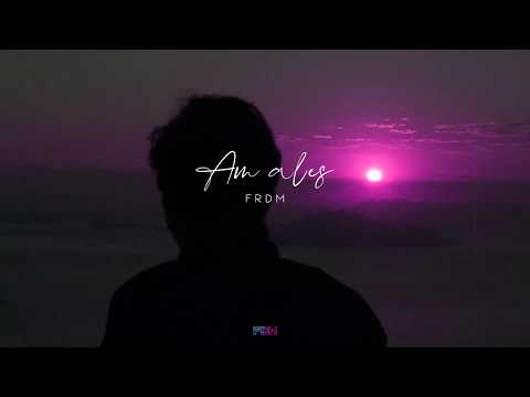 💔 FRDM - Am ales! (Audio Official) 💔