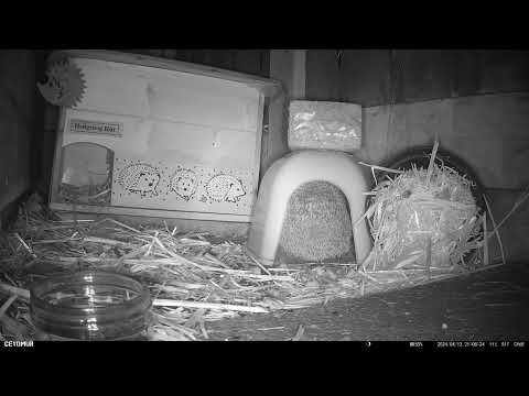 2024 04 13 20:33 to 2024 04 14 05:30