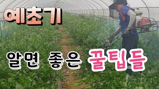 예초기 사용시 안전  알아 두면 좋은 꿀팁들 Good tips to keep safe when you use…