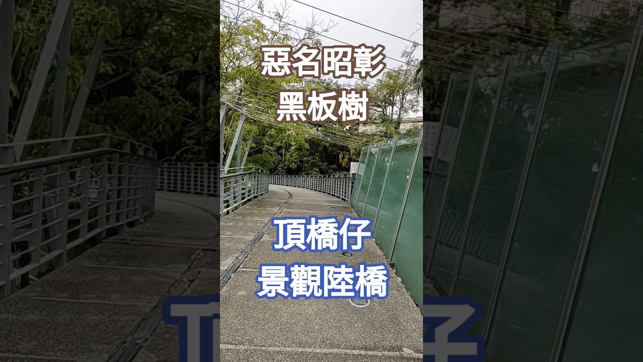 頂橋仔景觀陸橋｜橫跨興大路｜中興大學正門一側