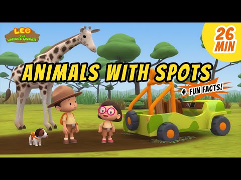 Animals with Spots - Animals Stories for Kids | Educational | Leo the Wildlife Ranger