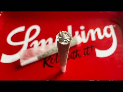 So baust du den BESTEN JOINT!!! Jointbau Tutorial Gauners CC