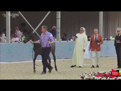 3 BOHOOR AL KHALEDIAH Gulf SE Cup 2018