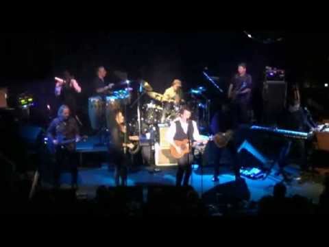 Michael Stanley and the Resonators - 