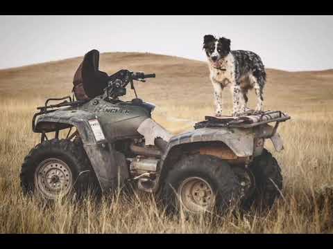 BAD ASS SOUTHERN BLUES - Crying terrains (slide guitar) A-P Pirinen