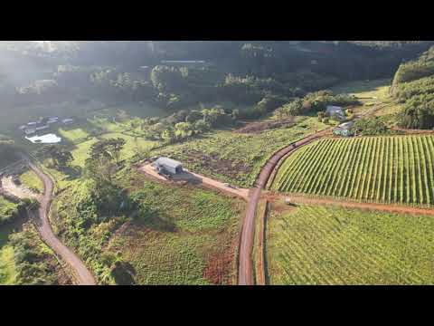 Vinícola REVVO - Sobrevoo nas Parreiras de Uva