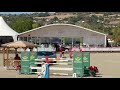 CSO - Hongre de 8 ans 