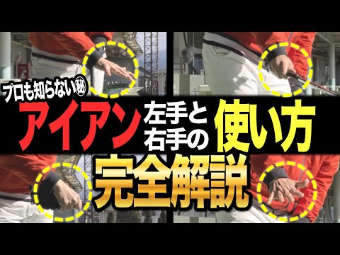 ダフリアンカラマツについて詳しく解説