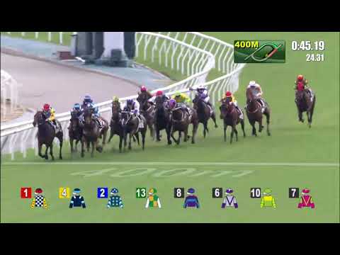 肥仔叻叻21/09/05……(004)第四塲一班1200米