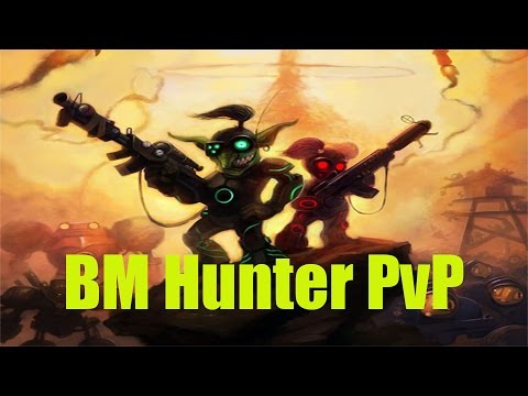 5.4.8 BM Hunter PvP - Destroying Strand - Patch 5.4.8
