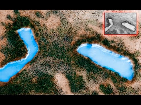 Marte Tiene Inmensos Lagos y Bosques Marte Tiene Inmensos Lagos y Bosques