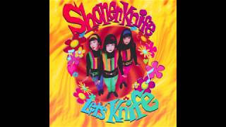 Shonen Knife – 12 TORTOISE BRAND POT SCRUBBING CLEANER&#39;S THEME (GREEN TORTOISE)