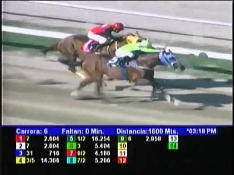 Resumen La Rinconada - domingo 28 de noviembre de 2012