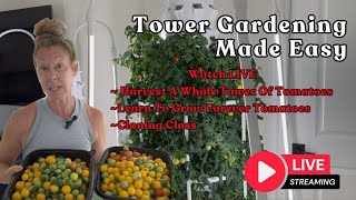 Tower Gardening Made Easy LIVE CAM #towergarden #hydroponicgardening #garden #farm #aeroponic