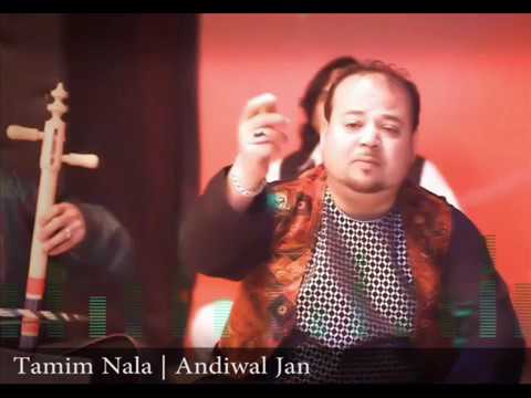 Tamim Nala Andiwal  Jan