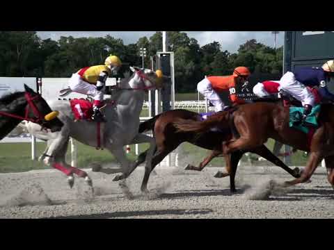 220306 c04 PROGRAMATICO