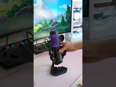 ASUS just released what??