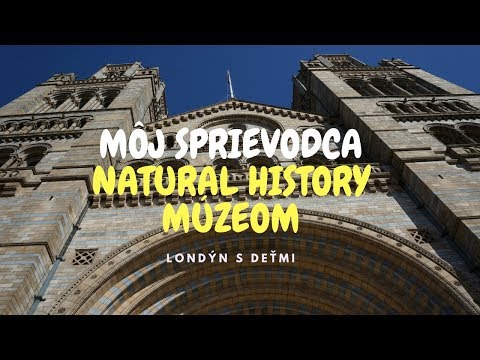Museu de História Natural com crianças (versão SK)