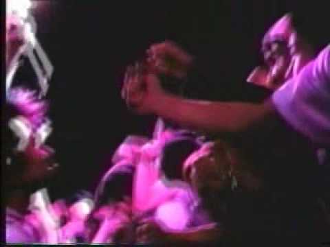 AGGRESSIVE DOGS - we never trade【PV】