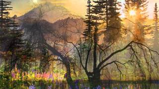 The Flowers, The Sunset, The Trees - Jim Reeves.avi