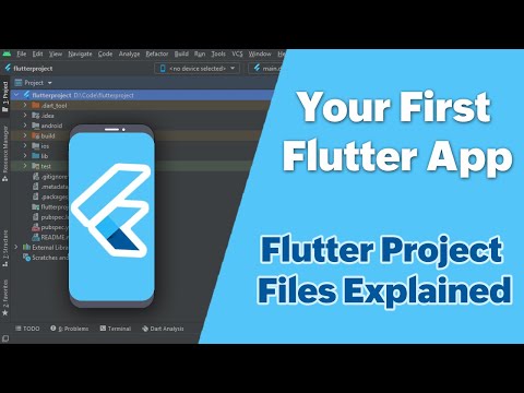 Flutter Tutorial For Beginners | Build Your First Flutter App | Project Files Explained