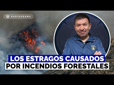 Un bombero muerto y 470 hectáreas afectadas en Las Condes: los estragos por incendios forestales