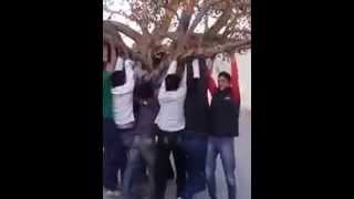 preview picture of video 'Some boys playing with a tree but suddnenly what happened'