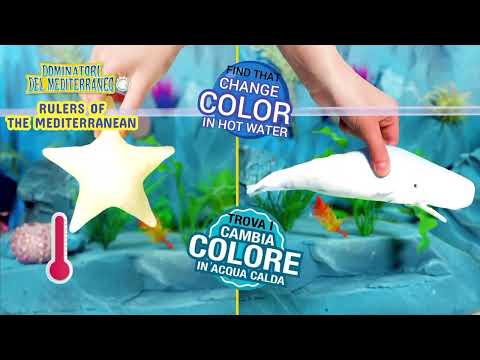 Animal Discovery Rulers of the Mediterranean. #sbabam in English. @SbabamItalia