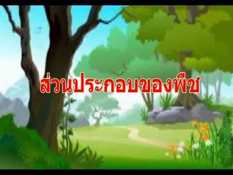 โรคริดสีดวงทวารที่เกี่ยวข้องกับความอ่อนแอ อาการหย่อนสมรรถภาพทางเพศชาย