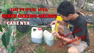 Download lagu Cara aplikasi pupuk NASA untuk tanaman cabe mp3 Download lagu Cara aplikasi pupuk NASA untuk tanaman cabe mp3