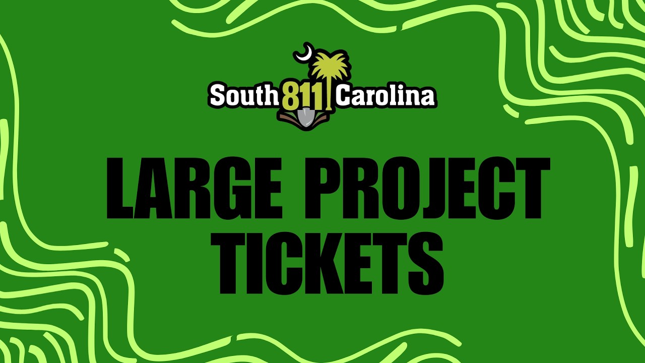 Large Projects Tickets in Action