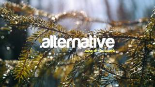 The Strumbellas - Shovels and Dirt