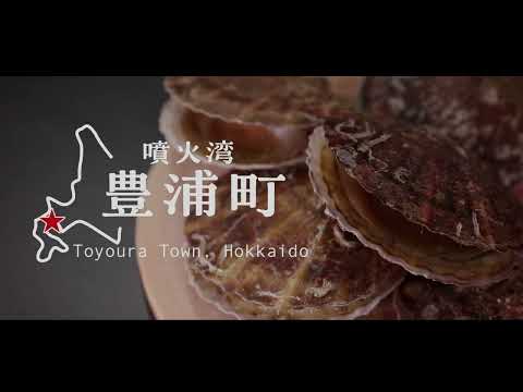 豊浦ホタテ漁師の日常【噴火湾ホタテ】