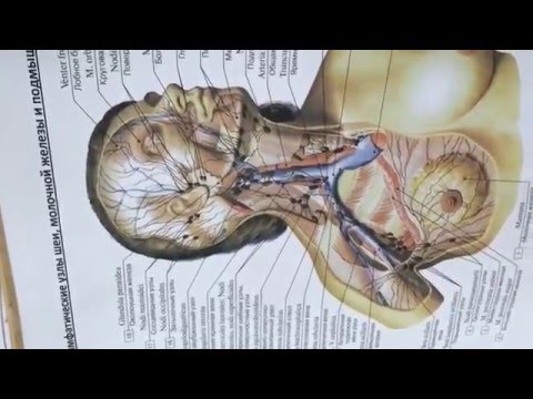 Лечение грыжи позвонков шейного отдела позвоночника Лечение суставов дон