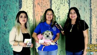 Thalia Arenas de SPCA  En OSEA TV SHOW📺 #OSEATVSHOW