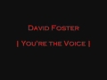 David Foster - You´re The Voice