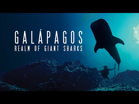 Galapagos: Realm of Giant Sharks HD