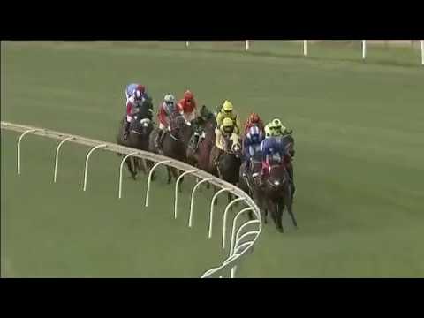 2019.03.30 Horse Chestnut Stakes (RSA) - Soqrat