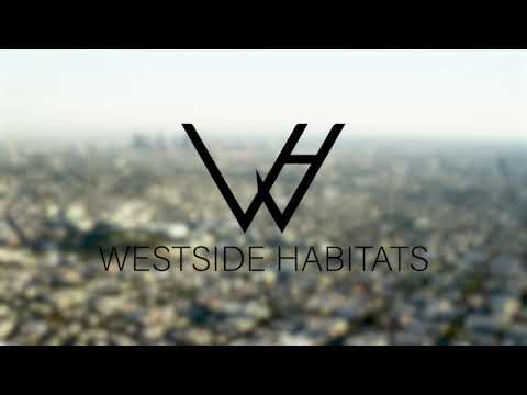 4432 Coldwater Canyon - Video 7 of 7