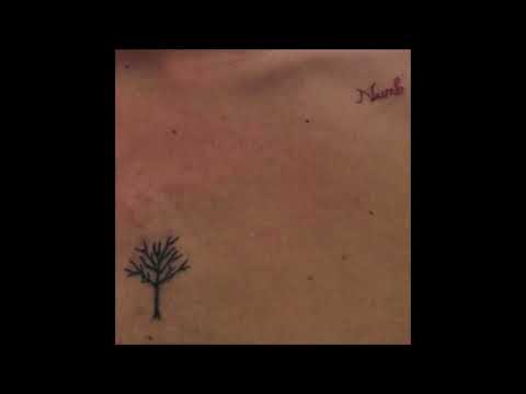 skin - prxz x shiloh dynasty