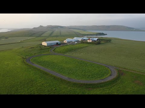 Video 3 aus  Herríðarhóll – Urlaub und Reiten in Island